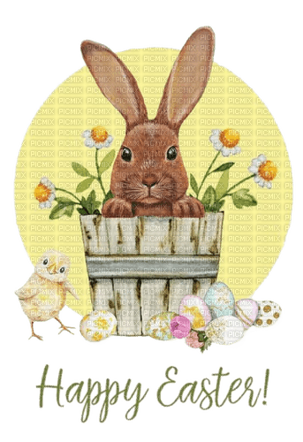 Ostern, Hase, Kübel, Eier, Blumen - png gratis