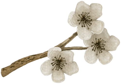 dolceluna sepia brown branch tree deco flowers - 無料png