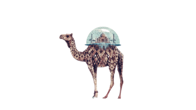 Camel Taj-Mahal - Bogusia - gratis png