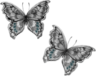 minou-butterfly - png gratuito