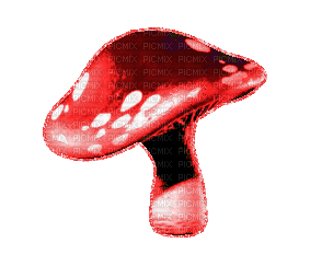 VanessaValo _crea = colorful  mushroom fantasy gif - GIF animé gratuit