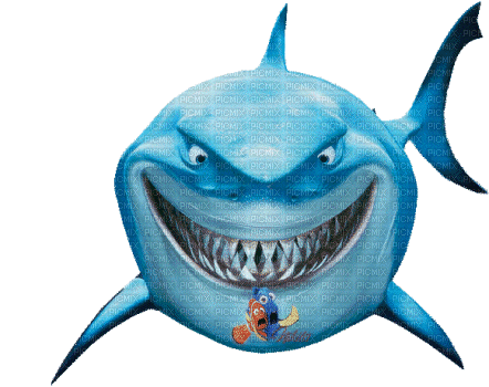 shark hai fish poisson nemo - GIF animado gratis
