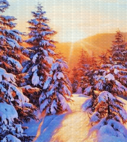 Rena Hintergrund Background Winter Wald - фрее пнг