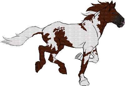Horse - Gratis animerad GIF