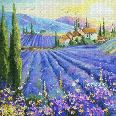 soave background animated field lavender vintage - GIF animasi gratis