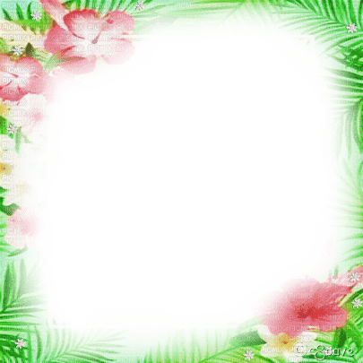 soave frame tropical summer flowers pink green - фрее пнг