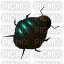 bug - Bezmaksas animēts GIF