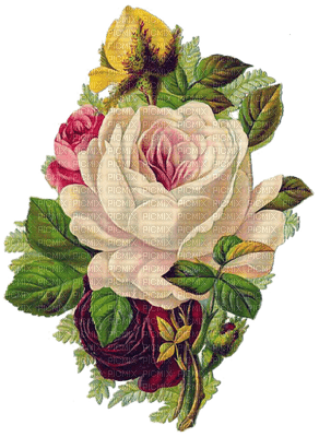 Kaz_Creations Deco Flowers Victorian - ingyenes png