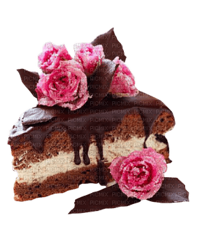 cake, pastry - PNG gratuit