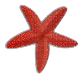 Kaz_Creations Starfish - бесплатно png