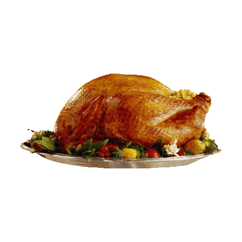 animated turkey food - Gratis geanimeerde GIF