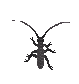 longhorn beetle by chubbypoulpy - Gratis animerad GIF