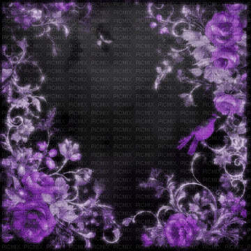 Purple black background roses animated Rox - Gratis animeret GIF
