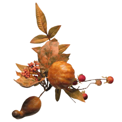 autumn - darmowe png