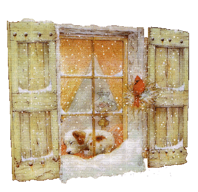 window  fenster fenêtre   fenetre  room raum chambre  zimmer winter hiver snow house dog snowfall neige tube chien  gif anime animated animation - Бесплатни анимирани ГИФ