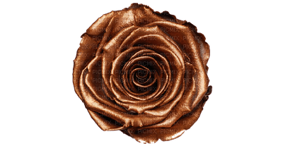 Chocolate - Rose / Marina Yasmine - Free PNG