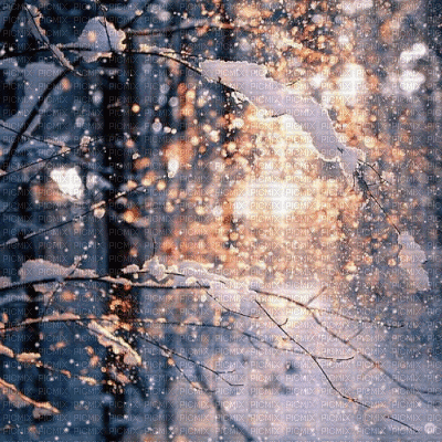Landscape.Paysage.Winter.Hiver.Snow.Neige.Fond.Background.Victoriabea - Бесплатный анимированный гифка