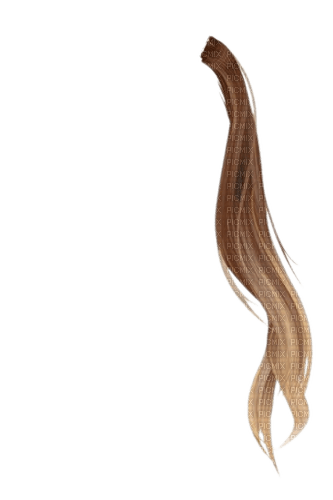 cheveux chatain blond G - ingyenes png