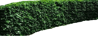 Gartenwand - 免费动画 GIF