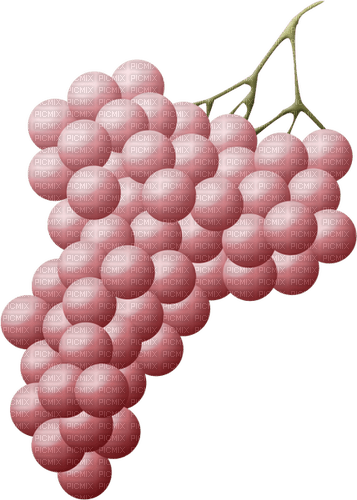 grapes Bb2 - zdarma png