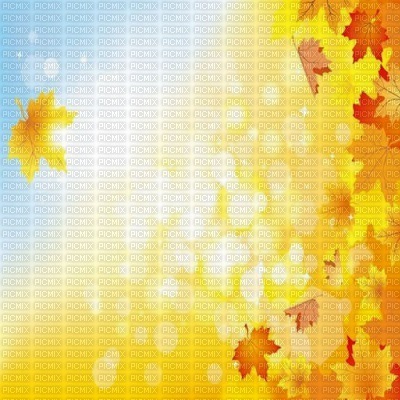 fond autumn automne - 免费PNG