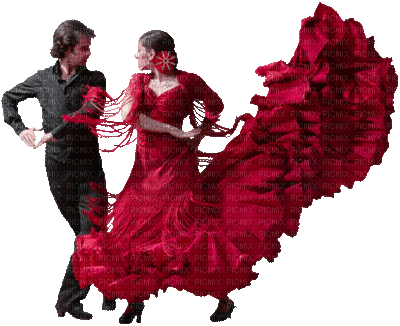 flamenco - GIF animado gratis