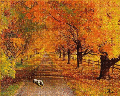 paysage d'automne - Free animated GIF