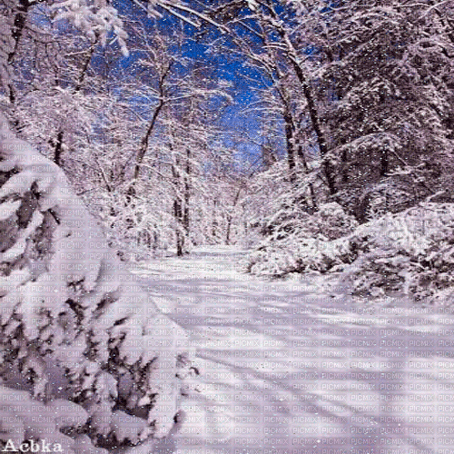 winter  background by nataliplus - Ücretsiz animasyonlu GIF