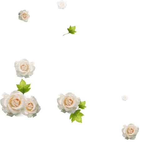 ✶ Roses {by Merishy} ✶ - PNG gratuit