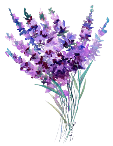 lavender Bb2 - Free PNG
