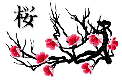 branche fleurs roses - Free PNG