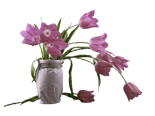 Frühling, Blumen, Vase - Безплатен анимиран GIF