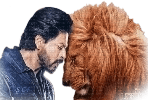 soave man Shahrukh Khan  bollywood lion animals - png gratis