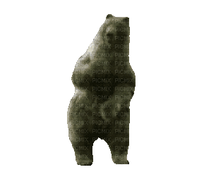 niedźwiadek - Besplatni animirani GIF