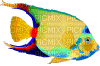 poisson - Gratis geanimeerde GIF