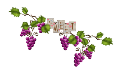 grapes bp - Free PNG