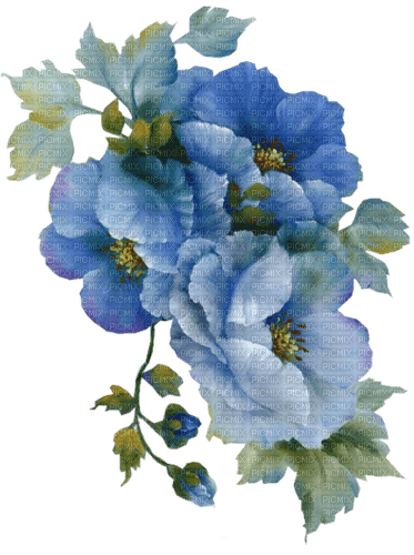 loly33 fleur bleu - nemokama png
