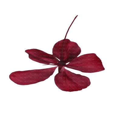 minou-red-flower - besplatni png
