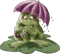 Frosch im Regen - Безплатен анимиран GIF
