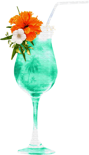 Cocktail.Flowers.Orange.Teal - darmowe png