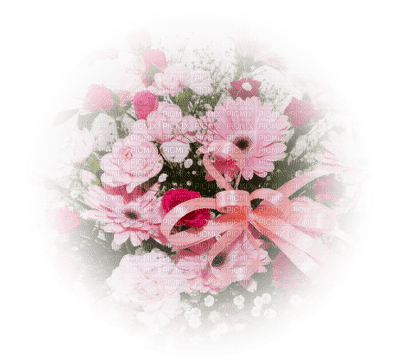 tube fleur - png grátis