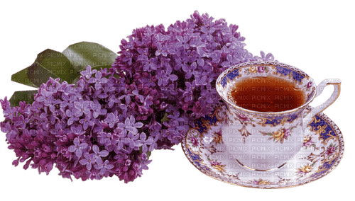 Lilac Tea - ingyenes png