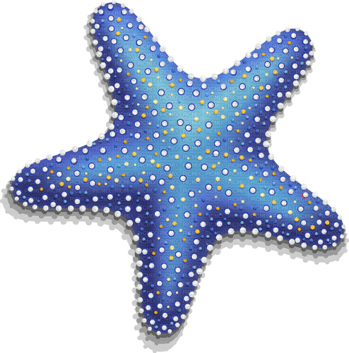 starfish Bb2 - ücretsiz png