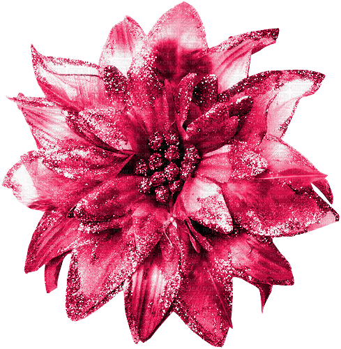 Flower.Pink - Free PNG