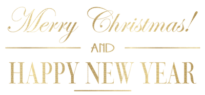 Kaz_Creations Christmas Deco Text Happy New Year - ingyenes png