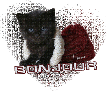 bonjour chaton - Бесплатный анимированный гифка