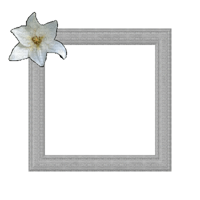 Small White Frame - GIF animé gratuit
