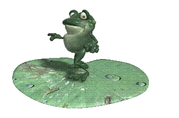 waterlily frog - Animovaný GIF zadarmo