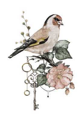 Kaz_Creations Birds Bird - png gratuito