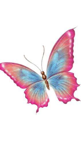 pink butterfly - ücretsiz png